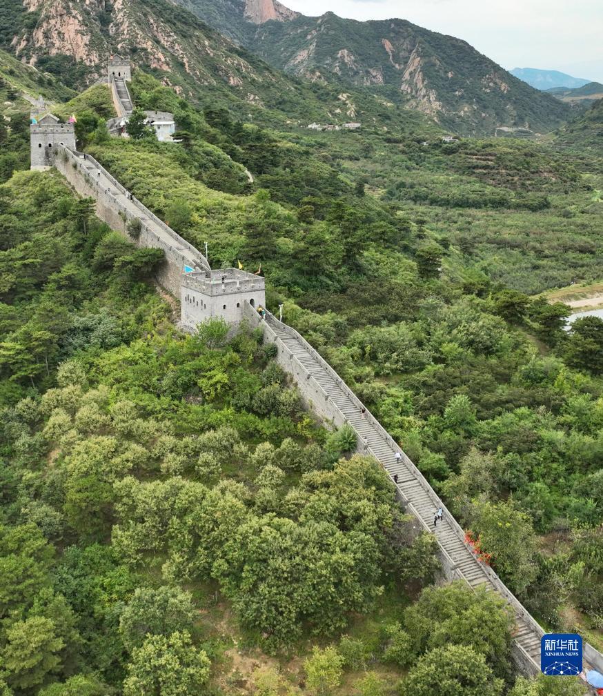 2025开户免费送白菜